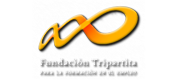 Fundación tripartita : Entidad pública